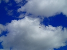 Имя файла=P8130061.JPG
Размер файла=3234КБ
Размеры=3968x2976
Дата=%228 %24, %2016 P8130061.JPG