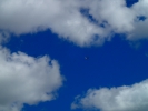 Имя файла=P8130062.JPG
Размер файла=3221КБ
Размеры=3968x2976
Дата=%228 %24, %2016 P8130062.JPG