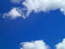 Имя файла=P8130068.JPG
Размер файла=3237КБ
Размеры=3968x2976
Дата=%229 %24, %2016 P8130068.JPG