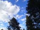 Имя файла=P8130159.JPG
Размер файла=4061КБ
Размеры=3968x2976
Дата=%230 %24, %2016 P8130159.JPG