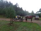 Имя файла=P9050033.JPG
Размер файла=3750КБ
Размеры=2728x2046
Дата=%490 %07, %2015 P9050033.JPG