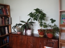 P9150040.JPG