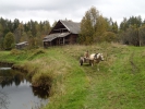 Имя файла=P9210038.JPG
Размер файла=5747КБ
Размеры=3968x2976
Дата=%704 %22, %2016 P9210038.JPG