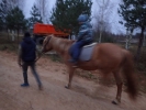 Имя файла=PB040654.JPG
Размер файла=3263КБ
Размеры=4608x3456
Дата=%601 %08, %2017 PB040654.JPG