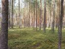 Имя файла=Photo-0006.jpg
Размер файла=190КБ
Размеры=800x600
Дата=%624 %28, %2008 Photo-0006.jpg