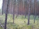 Имя файла=Photo-0009.jpg
Размер файла=180КБ
Размеры=800x600
Дата=%624 %28, %2008 Photo-0009.jpg