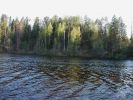 Имя файла=forest1.jpg
Размер файла=244КБ
Размеры=1280x960
Дата=%672 %20, %2007 forest1.jpg