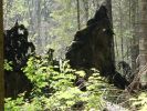 Имя файла=forest3.jpg
Размер файла=294КБ
Размеры=1280x960
Дата=%730 %14, %2007 forest3.jpg