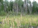 Имя файла=nature11.jpg
Размер файла=289КБ
Размеры=1280x960
Дата=%668 %20, %2007 nature11.jpg