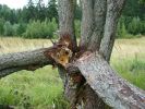 Имя файла=ovs2.jpg
Размер файла=309КБ
Размеры=1280x960
Дата=%414 %09, %2007 ovs2.jpg
