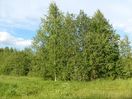 Имя файла=photo05.jpg
Размер файла=94КБ
Размеры=548x411
Дата=%289 %08, %2010 photo05.jpg