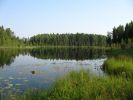 Имя файла=sorok1.jpg
Размер файла=669КБ
Размеры=2592x1944
Дата=%376 %09, %2007 sorok1.jpg