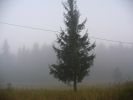 Имя файла=tuman1.jpg
Размер файла=253КБ
Размеры=2304x1728
Дата=%424 %09, %2007 tuman1.jpg