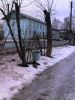 Имя файла=winter13.jpg
Размер файла=156КБ
Размеры=960x1280
Дата=%666 %20, %2007 winter13.jpg