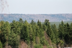 Имя файла=y_f9707308.jpg
Размер файла=186КБ
Размеры=807x535
Дата=%583 %18, %2014 y_f9707308.jpg