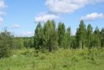 Имя файла=DSC00143.jpg
Размер файла=1478КБ
Размеры=1500x1004
Дата=%426 %27, %2008 DSC00143.jpg