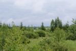 Имя файла=DSC00249.jpg
Размер файла=1129КБ
Размеры=1500x1004
Дата=%430 %27, %2008 DSC00249.jpg