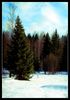 Имя файла=DSC00373_hf_hf.jpg
Размер файла=1143КБ
Размеры=1050x1500
Дата=%699 %28, %2009 DSC00373_hf_hf.jpg