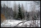Имя файла=DSC00497_hf.jpg
Размер файла=1088КБ
Размеры=1500x1050
Дата=%701 %28, %2009 DSC00497_hf.jpg
