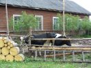 Имя файла=P1070670.jpg
Размер файла=1986КБ
Размеры=1500x1125
Дата=%434 %17, %2008 P1070670.jpg