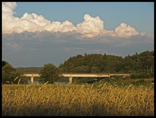 Мост через Мсту
