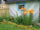 Имя файла=P1000869.JPG
Размер файла=2332КБ
Размеры=2048x1536
Дата=%629 %30, %2012 P1000869.JPG