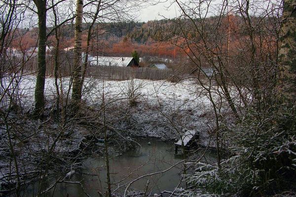Шереховичи.Пруд.
Ключевые слова: Шереховичи любытинский новгородская валдай путешествия авто туризм