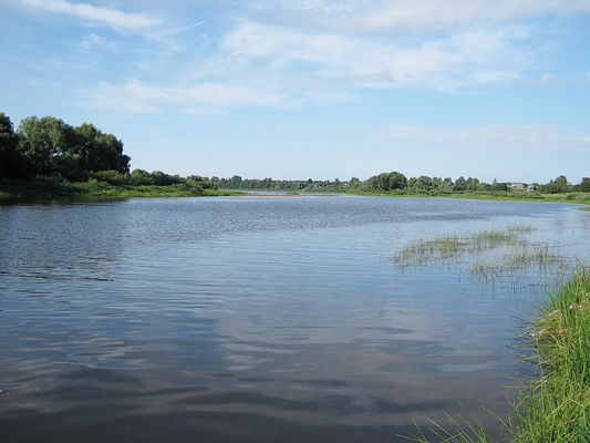 р. Мста
А. Артемьев
