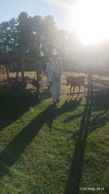 IMG_20260717_191209.jpg