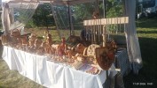 IMG_20260717_190156.jpg