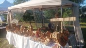 IMG_20260717_190157.jpg
