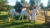 IMG_20260717_191224.jpg