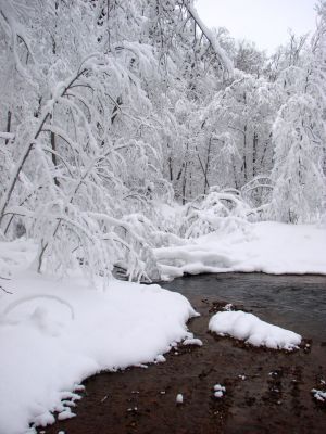 красавица зима
Лена
