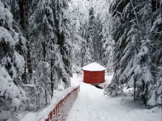 Купель на святом ручье
Лена
