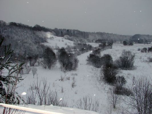 зимняя картина
Лена
