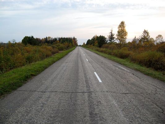 Дорога на Ярцево
Лена
