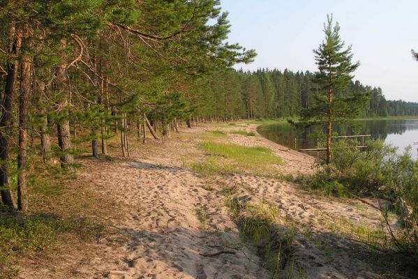 Городно, "Золотые пески"
