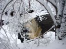 Имя файла=Водопад 075.jpg
Размер файла=242КБ
Размеры=1280x960
Дата=%720 %21, %2007 Водопад 075.jpg