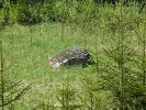 Имя файла=камень.jpg
Размер файла=1071КБ
Размеры=1600x1200
Дата=%645 %29, %2007 камень.jpg