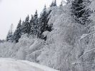 Имя файла=21january002.jpg
Размер файла=409КБ
Размеры=1280x960
Дата=%743 %20, %2007 21january002.jpg