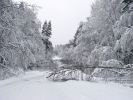 Имя файла=21january003.jpg
Размер файла=301КБ
Размеры=1280x960
Дата=%743 %20, %2007 21january003.jpg