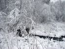 Имя файла=21january005.jpg
Размер файла=354КБ
Размеры=1280x960
Дата=%745 %20, %2007 21january005.jpg