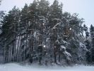 Имя файла=21january071.jpg
Размер файла=322КБ
Размеры=1280x960
Дата=%750 %20, %2007 21january071.jpg