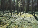 Имя файла=IMG_0100.JPG
Размер файла=4146КБ
Размеры=2133x1600
Дата=%577 %10, %2013 IMG_0100.JPG