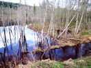 Имя файла=IMG_2189.jpg
Размер файла=894КБ
Размеры=1280x960
Дата=%432 %05, %2009 IMG_2189.jpg