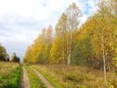 Имя файла=IMG_5471.JPG
Размер файла=688КБ
Размеры=1500x1125
Дата=%741 %22, %2009 IMG_5471.JPG