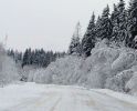 Имя файла=copy21january001.jpg
Размер файла=191КБ
Размеры=1136x915
Дата=%713 %20, %2007 copy21january001.jpg