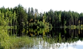 Имя файла=img_220~0.jpg
Размер файла=3342КБ
Размеры=2720x1600
Дата=%626 %10, %2013 img_220~0.jpg