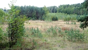 Имя файла=img_506.jpg
Размер файла=3832КБ
Размеры=2826x1600
Дата=%623 %19, %2013 img_506.jpg